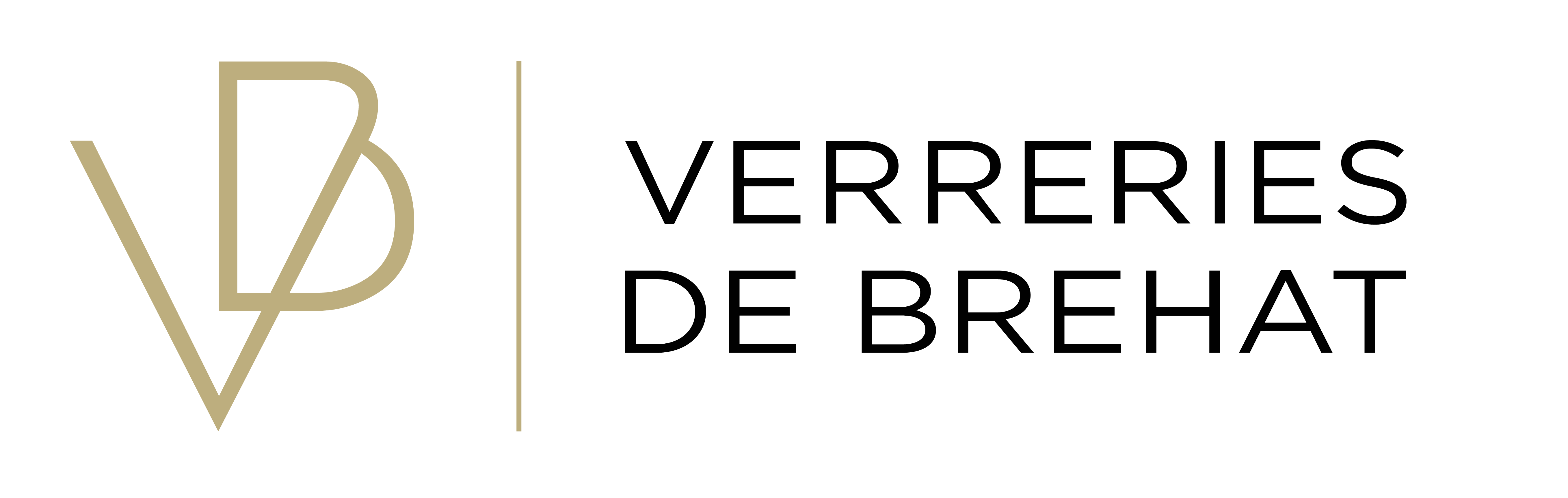 logo VB